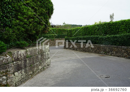 西郷どんロケ地(知覧武家屋敷の石垣と石畳) 西郷どんロケ地(知覧武家屋敷の石垣と石畳) 36692760