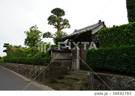 西郷どんロケ地（知覧武家屋敷の門と石垣と石畳） 36692765