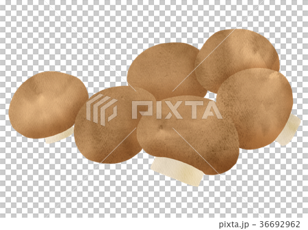 蘑菇（棕色） 36692962