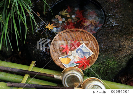 秋の本土寺　銭洗弁天 36694504