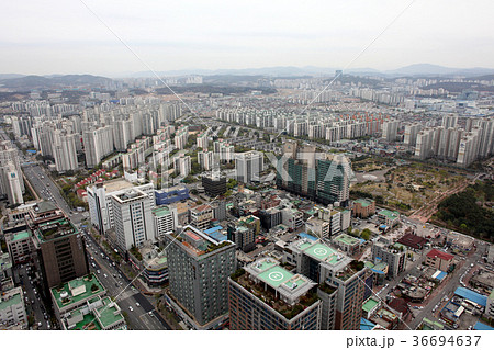 水原 京畿道 キョンギド 36694637