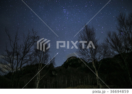 みずがき自然公園から冬の星空 みずがき自然公園から冬の星空 36694859
