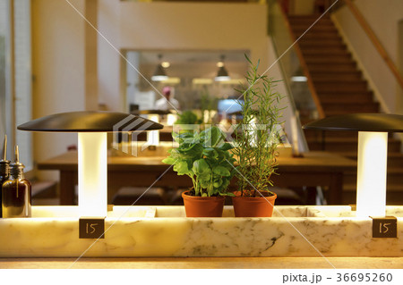 ドイツ ベルリン レストラン 36695260