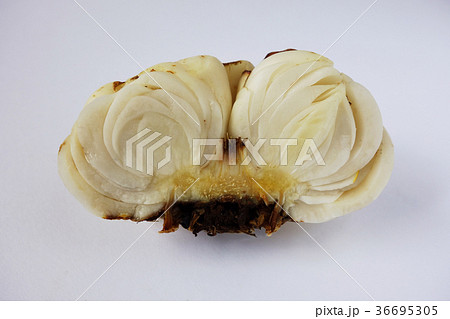 ユリ根　断面 36695305