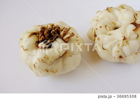 ユリ根 ユリ根 36695308