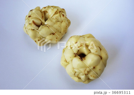 ユリ根　 36695311