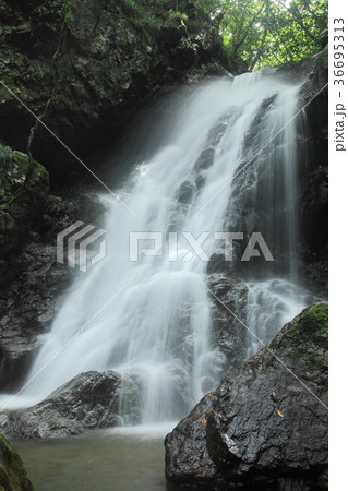 奥田縄の滝 36695313