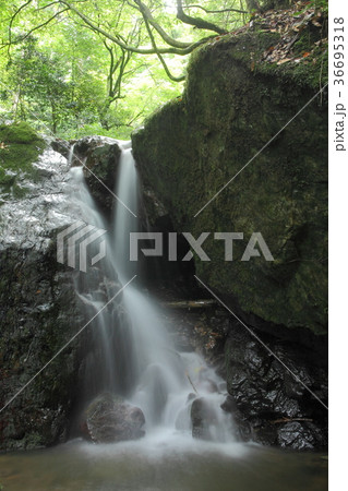 奥田縄の滝 36695318