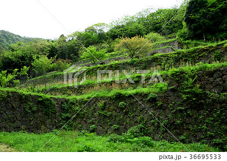 世界遺産 石見銀山 清水谷製錬所跡 世界遺産 石見銀山 清水谷製錬所跡 36695533