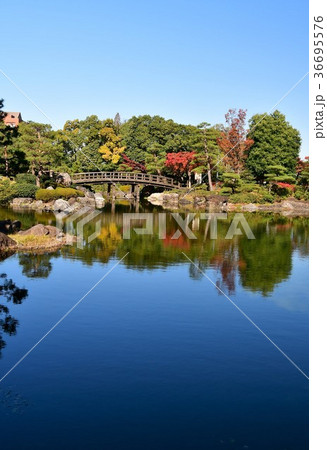 秋の白鳥庭園 36695576