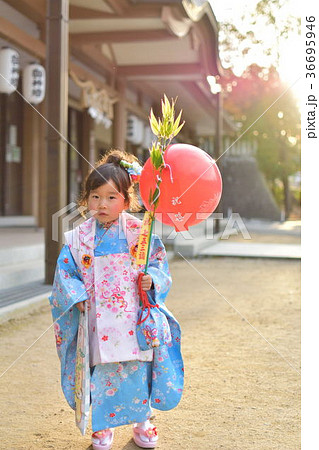 3歳の七五三 3歳の七五三 36695946