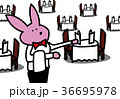 ウェイターうさぎ ウェイターうさぎ 36695978