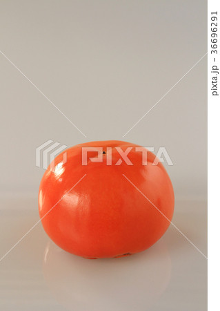 柿-10 柿-10 36696291