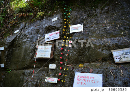 チバニアン現場 36696586