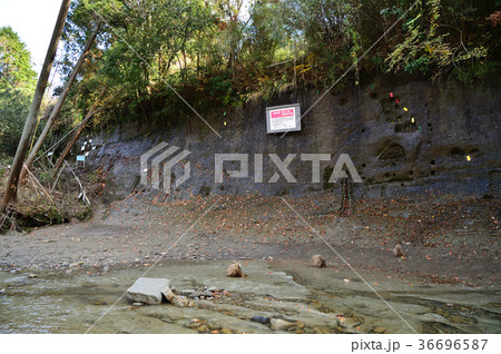 チバニアン現場 36696587