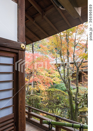 永観堂 永観堂 36696689