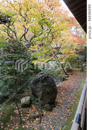 永観堂 永観堂 36696690