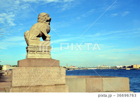 Shih Tsza  lions in St-Petersburg, Russia  36696763