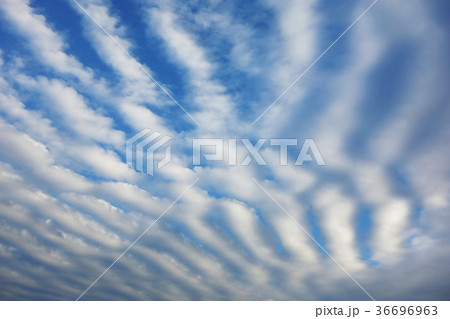 波状雲 波状雲 36696963