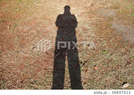 伸びる影の写真素材