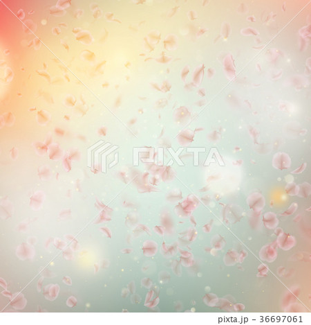 Sakura flying downwind petals on wind. EPS 10 Sakura flying downwind petals on wind. EPS 10 36697061