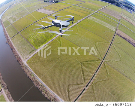田んぼ上空のドローン 36697118