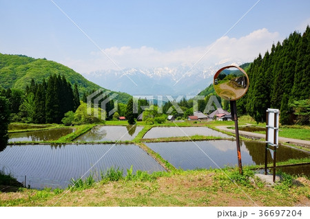 春の農村風景 (青鬼集落) 春の農村風景 (青鬼集落) 36697204