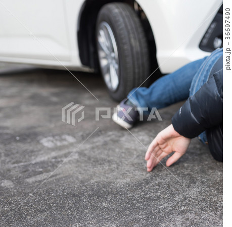 自動車 自動車 36697490