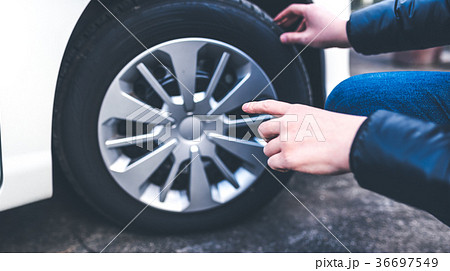 自動車 36697549