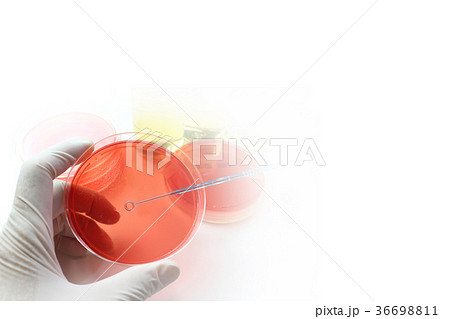 研究イメージ　微生物学 36698811