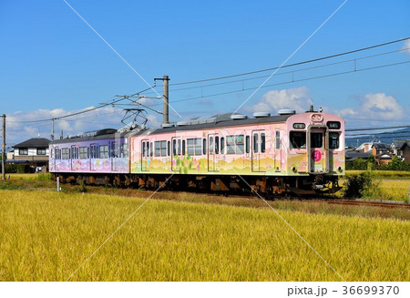 桜井線を走る105系万葉の四季彩編成 桜井線を走る105系万葉の四季彩編成 36699370