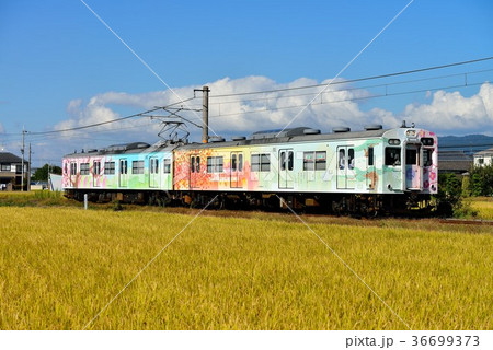 桜井線を走る105系万葉の四季編成 桜井線を走る105系万葉の四季編成 36699373