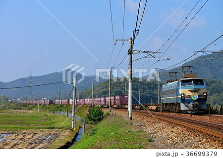 EF6627コンテナ貨物列車 36699379