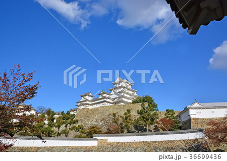 姫路城 姫路城 36699436