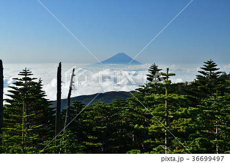 奥秩父山塊国師ヶ岳から初秋の富士山 36699497