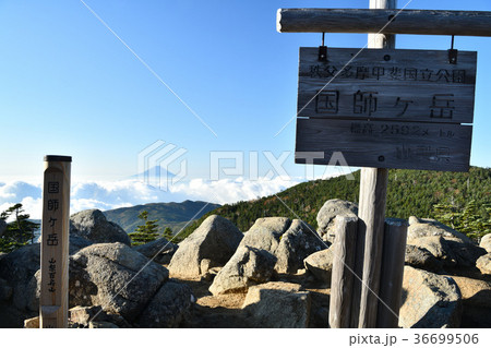 奥秩父山塊国師ヶ岳から初秋の富士山 奥秩父山塊国師ヶ岳から初秋の富士山 36699506