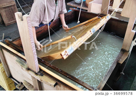 越前和紙 5 越前和紙 5 36699578