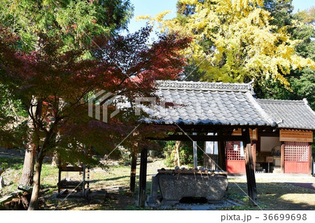 晩秋の乾坤院 境内の紅葉 晩秋の乾坤院 境内の紅葉 36699698
