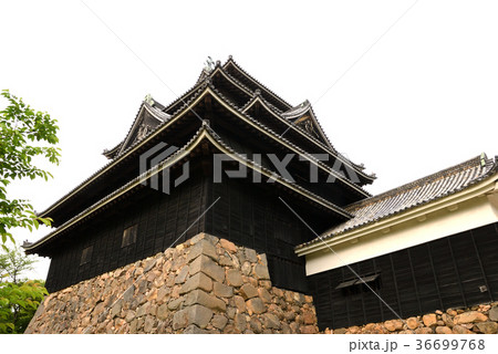 四重五階の松江城 四重五階の松江城 36699768