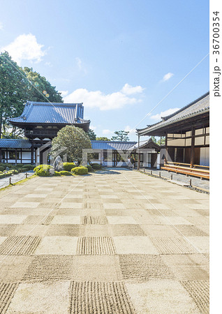 東福寺の普門院 36700354