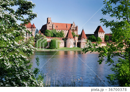 Teutonic castle in Malbork 36700378