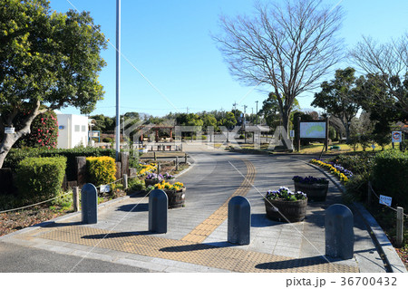 百目木公園(袖ケ浦市) 36700432