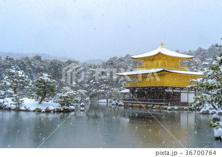 快晴の金閣寺の雪化粧 快晴の金閣寺の雪化粧 36700764