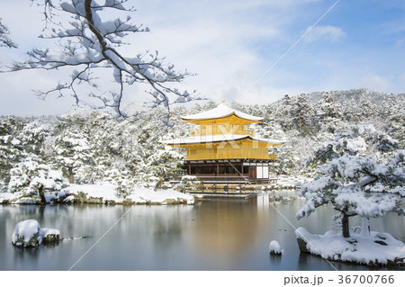 快晴の金閣寺の雪化粧 36700766