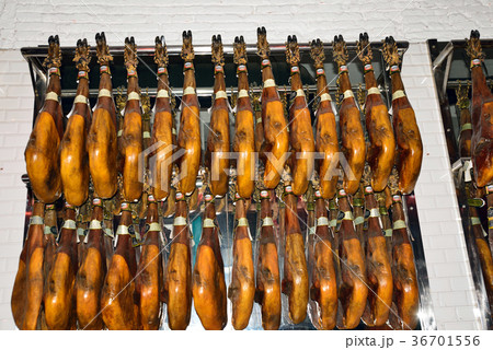 スペイン レストラン スペイン レストラン 36701556