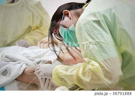 Patient relative taking care of the elder patient 36701888