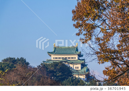 秋の名古屋城 36701945