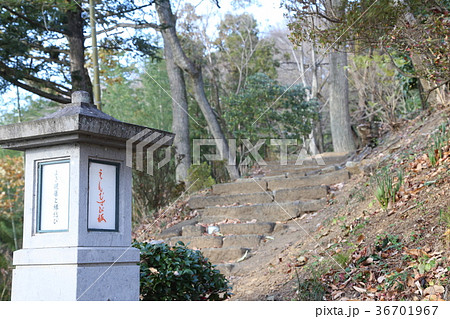 足利織姫神社 足利織姫神社 36701967