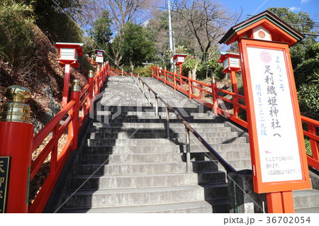 足利織姫神社 36702054