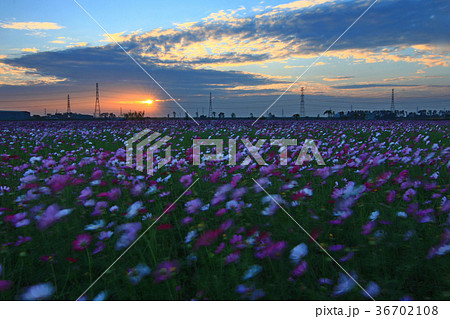 台湾 台中市 台中 36702108